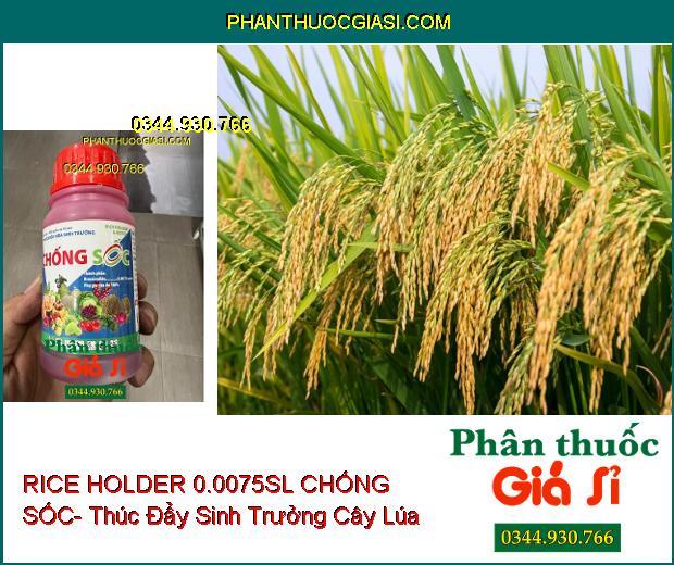 THUỐC ĐIỀU HÒA SINH TRƯỞNG RICE HOLDER 0.0075SL CHỐNG SỐC- Kích Thích Sự Phát Triển- Tăng Năng Suất