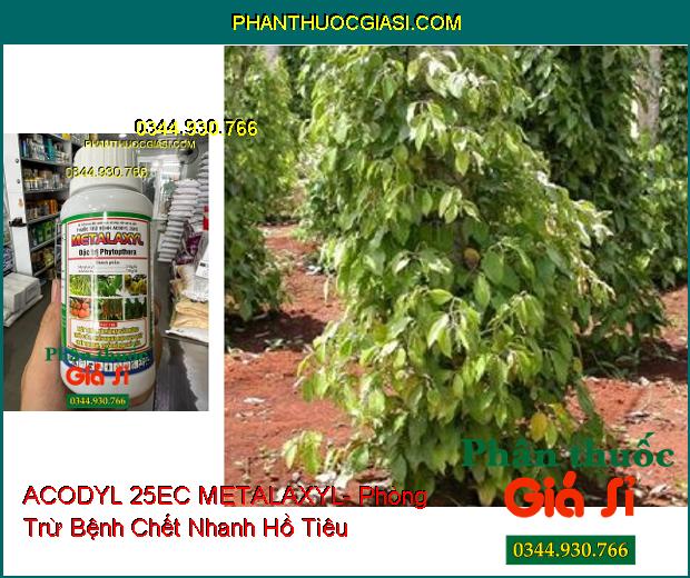 THUỐC TRỪ BỆNH ACODYL 25EC METALAXYL- Đặc Trị Nấm Bệnh Cho Cây Trồng