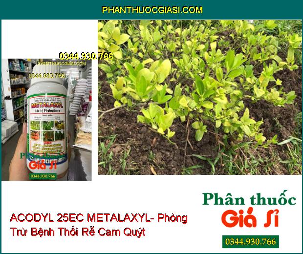 THUỐC TRỪ BỆNH ACODYL 25EC METALAXYL- Đặc Trị Nấm Bệnh Cho Cây Trồng