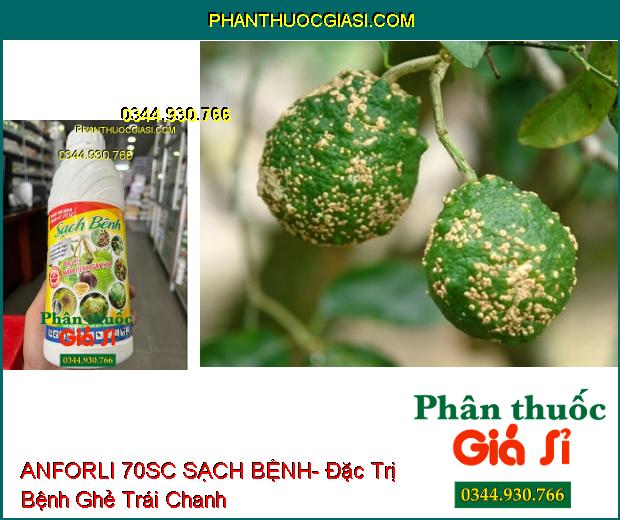 THUỐC TRỪ BỆNH ANFORLI 70SC SẠCH BỆNH- Đặc Trị Nấm Bệnh Gây Hại