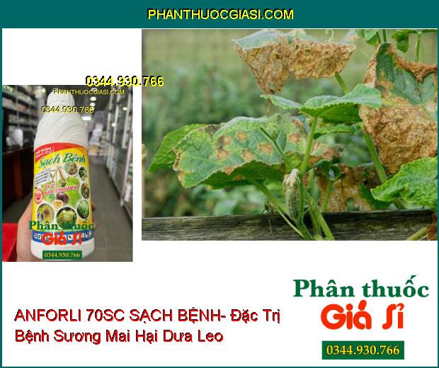 THUỐC TRỪ BỆNH ANFORLI 70SC SẠCH BỆNH- Đặc Trị Nấm Bệnh Gây Hại