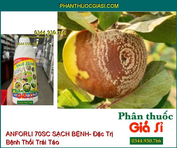 THUỐC TRỪ BỆNH ANFORLI 70SC SẠCH BỆNH- Đặc Trị Nấm Bệnh Gây Hại