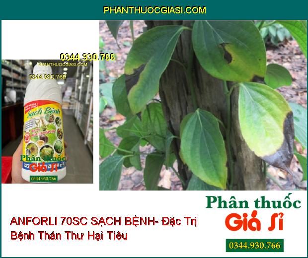 THUỐC TRỪ BỆNH ANFORLI 70SC SẠCH BỆNH- Đặc Trị Nấm Bệnh Gây Hại