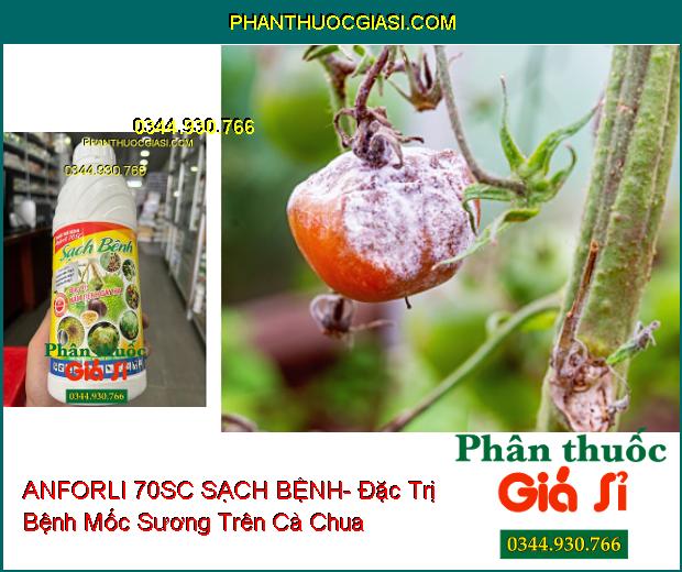 THUỐC TRỪ BỆNH ANFORLI 70SC SẠCH BỆNH- Đặc Trị Nấm Bệnh Gây Hại