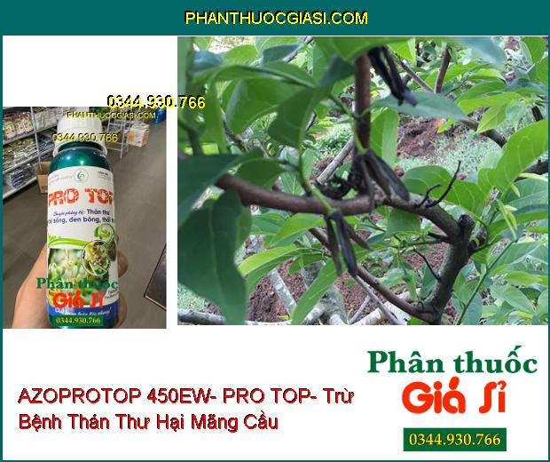 THUỐC TRỪ BỆNH AZOPROTOP 450EW- PRO TOP