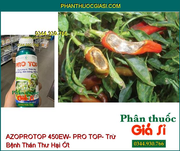 THUỐC TRỪ BỆNH AZOPROTOP 450EW- PRO TOP