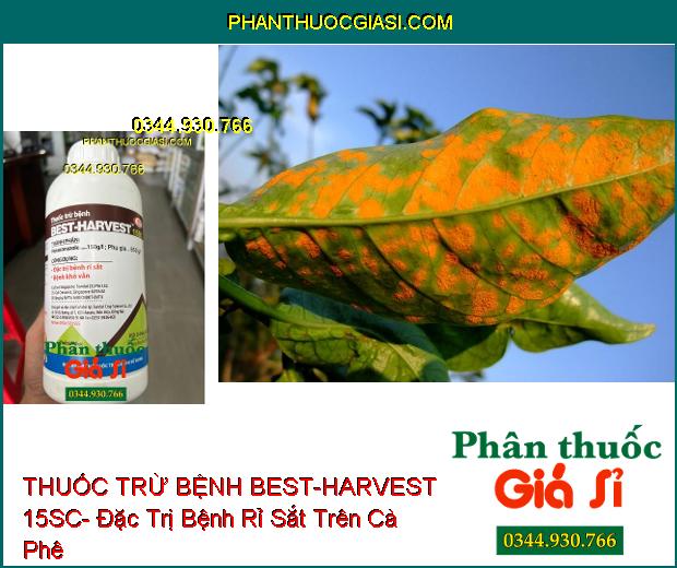 THUỐC TRỪ BỆNH BEST-HARVEST 15SC- Đặc Trị Bệnh Rỉ Sắt- Khô Vằn