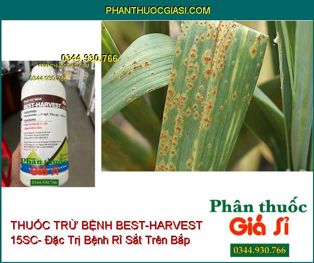 THUỐC TRỪ BỆNH BEST-HARVEST 15SC- Đặc Trị Bệnh Rỉ Sắt- Khô Vằn