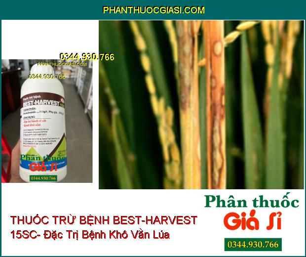 THUỐC TRỪ BỆNH BEST-HARVEST 15SC- Đặc Trị Bệnh Rỉ Sắt- Khô Vằn