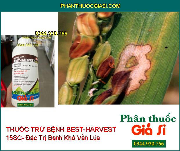 THUỐC TRỪ BỆNH BEST-HARVEST 15SC- Đặc Trị Bệnh Rỉ Sắt- Khô Vằn