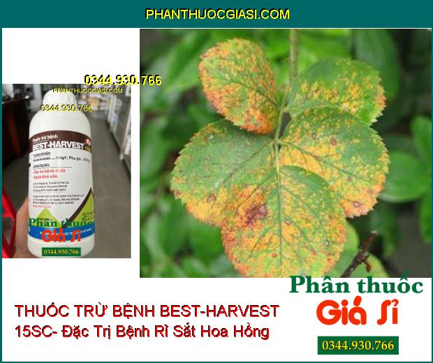 THUỐC TRỪ BỆNH BEST-HARVEST 15SC- Đặc Trị Bệnh Rỉ Sắt- Khô Vằn