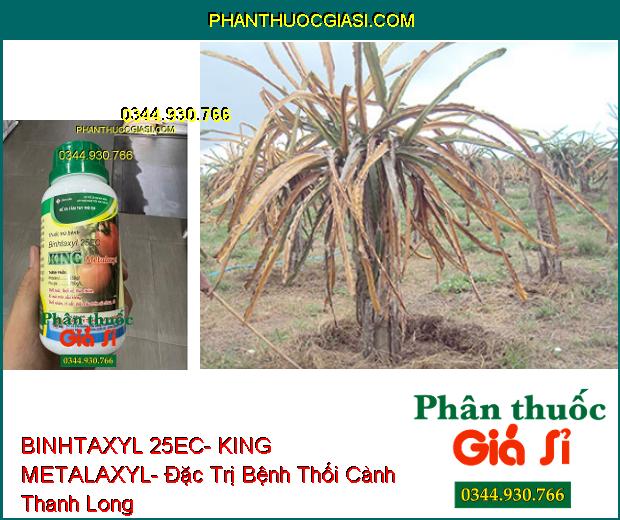 THUỐC TRỪ BỆNH BINHTAXYL 25EC- KING METALAXYL- Đặc Trị Nấm Trên Cây Trồng