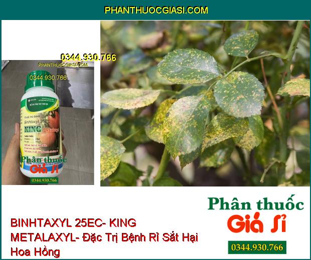 THUỐC TRỪ BỆNH BINHTAXYL 25EC- KING METALAXYL- Đặc Trị Nấm Trên Cây Trồng