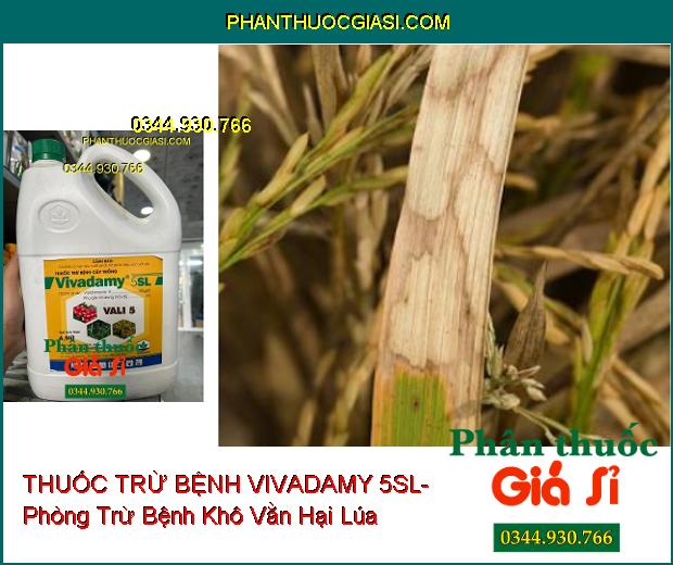 THUỐC TRỪ BỆNH VIVADAMY 5SL- Phòng Trừ Bệnh Khô Vằn- Nấm Hồng