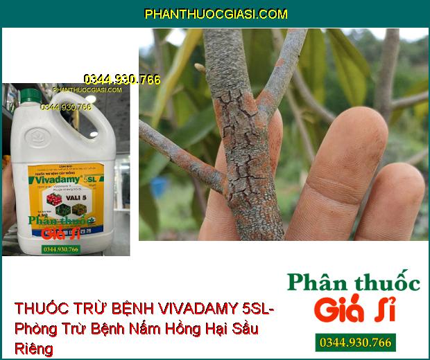 THUỐC TRỪ BỆNH VIVADAMY 5SL- Phòng Trừ Bệnh Khô Vằn- Nấm Hồng