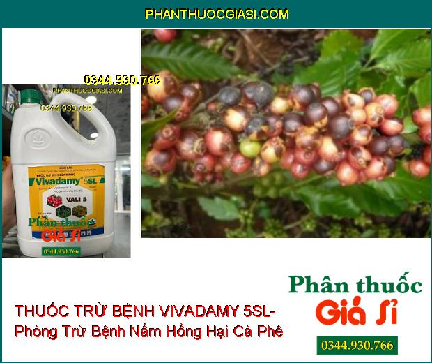 THUỐC TRỪ BỆNH VIVADAMY 5SL- Phòng Trừ Bệnh Khô Vằn- Nấm Hồng