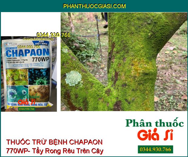 THUỐC TRỪ BỆNH CHAPAON 770WP- Chuyên Trị Vi Khuẩn- Trừ Bệnh Nấm Hồng- Sương Mai- Rong Rêu