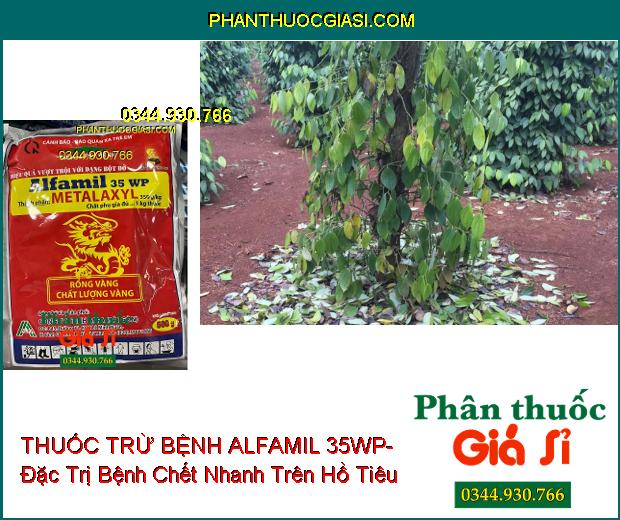 THUỐC TRỪ BỆNH ALFAMIL 35WP- Đặc Trị Bệnh Chết Nhanh Trên Hồ Tiêu