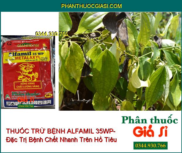 THUỐC TRỪ BỆNH ALFAMIL 35WP- Đặc Trị Bệnh Chết Nhanh Trên Hồ Tiêu