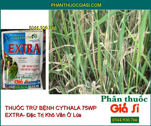 THUỐC TRỪ BỆNH CYTHALA 75WP EXTRA- Đặc Trị Khô Vằn Ở Lúa- Rỉ Sắt Trên Cà Phê Và Đậu Tương