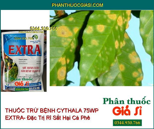 THUỐC TRỪ BỆNH CYTHALA 75WP EXTRA- Đặc Trị Khô Vằn Ở Lúa- Rỉ Sắt Trên Cà Phê Và Đậu Tương