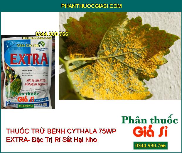 THUỐC TRỪ BỆNH CYTHALA 75WP EXTRA- Đặc Trị Khô Vằn Ở Lúa- Rỉ Sắt Trên Cà Phê Và Đậu Tương