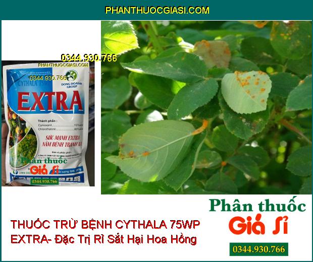 THUỐC TRỪ BỆNH CYTHALA 75WP EXTRA- Đặc Trị Khô Vằn Ở Lúa- Rỉ Sắt Trên Cà Phê Và Đậu Tương