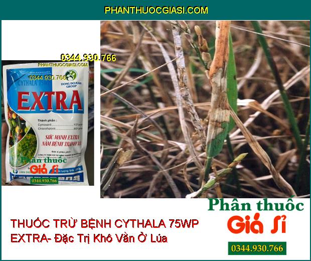 THUỐC TRỪ BỆNH CYTHALA 75WP EXTRA- Đặc Trị Khô Vằn Ở Lúa- Rỉ Sắt Trên Cà Phê Và Đậu Tương