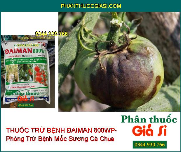 THUỐC TRỪ BỆNH ĐAIMAN 800WP- Phòng Trừ Lem Lép Hạt Ở Lúa- Mốc Sương- Bệnh Chết Nhanh