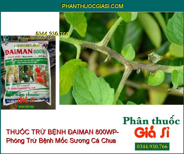 THUỐC TRỪ BỆNH ĐAIMAN 800WP- Phòng Trừ Lem Lép Hạt Ở Lúa- Mốc Sương- Bệnh Chết Nhanh