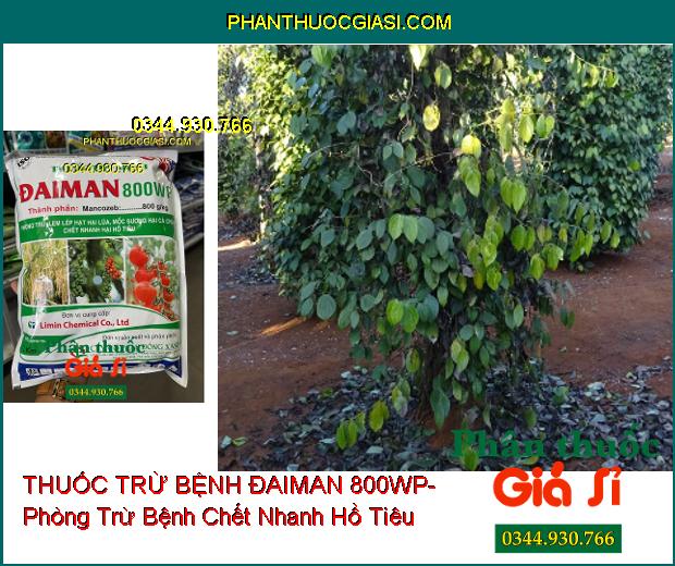 THUỐC TRỪ BỆNH ĐAIMAN 800WP- Phòng Trừ Lem Lép Hạt Ở Lúa- Mốc Sương- Bệnh Chết Nhanh