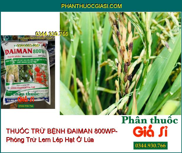 THUỐC TRỪ BỆNH ĐAIMAN 800WP- Phòng Trừ Lem Lép Hạt Ở Lúa- Mốc Sương- Bệnh Chết Nhanh