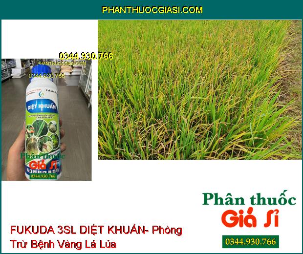 THUỐC TRỪ BỆNH FUKUDA 3SL DIỆT KHUẨN- Phòng Trừ Bệnh Héo Rũ- Sương Mai- Thối Quả