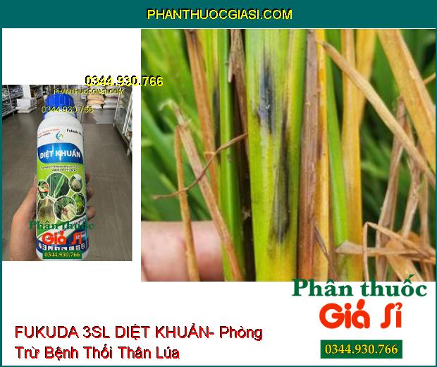 THUỐC TRỪ BỆNH FUKUDA 3SL DIỆT KHUẨN- Phòng Trừ Bệnh Héo Rũ- Sương Mai- Thối Quả