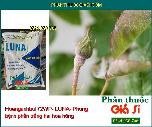 THUỐC TRỪ BỆNH Hoanganhbul 72WP- LUNA