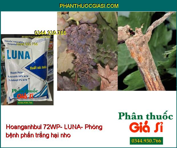 THUỐC TRỪ BỆNH Hoanganhbul 72WP- LUNA