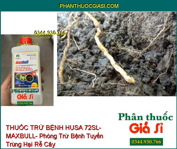 THUỐC TRỪ BỆNH HUSA 72SL- MAXBULL