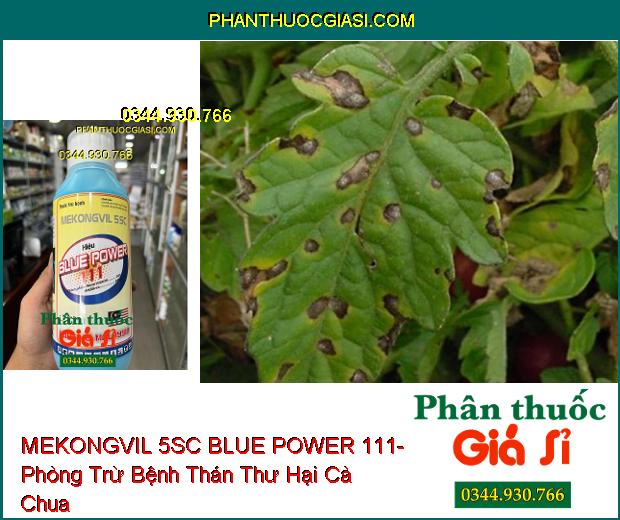 THUỐC TRỪ BỆNH MEKONGVIL 5SC BLUE POWER 111- Đặc Trị Khô Vằn Trên Lúa