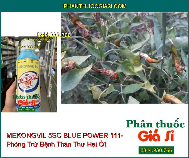 THUỐC TRỪ BỆNH MEKONGVIL 5SC BLUE POWER 111- Đặc Trị Khô Vằn Trên Lúa