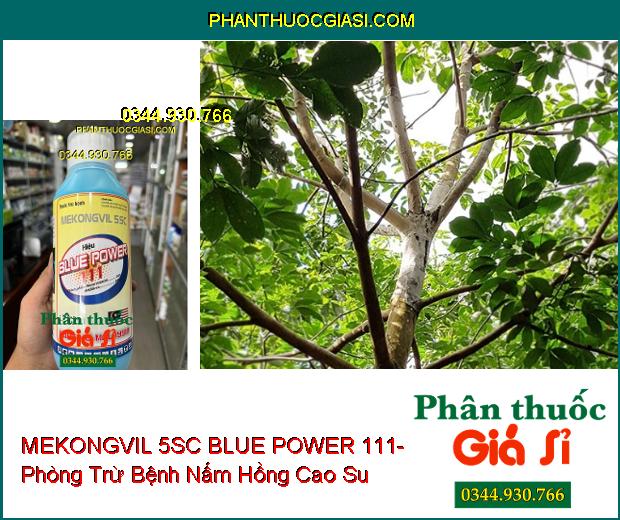 THUỐC TRỪ BỆNH MEKONGVIL 5SC BLUE POWER 111- Đặc Trị Khô Vằn Trên Lúa