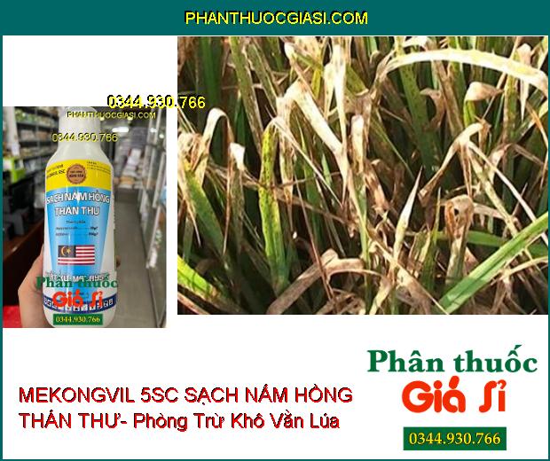 MEKONGVIL 5SC SẠCH NẤM HỒNG THÁN THƯ