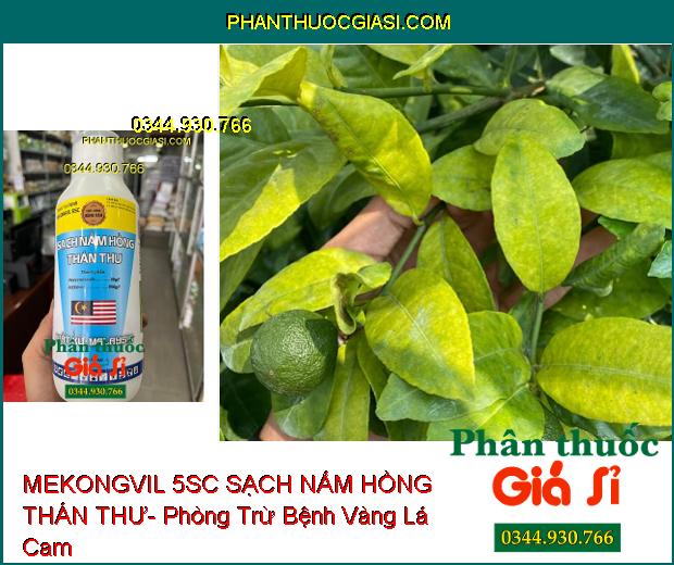 MEKONGVIL 5SC SẠCH NẤM HỒNG THÁN THƯ