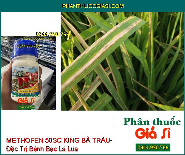 THUỐC TRỪ BỆNH METHOFEN 50SC KING BẢ TRẦU- Đặc Trị Sương Mai Hại Cà Chua