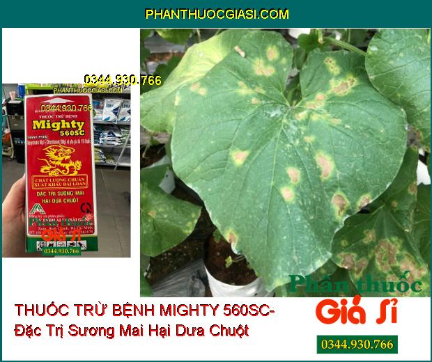 THUỐC TRỪ BỆNH MIGHTY 560SC- Đặc Trị Sương Mai Hại Dưa Chuột