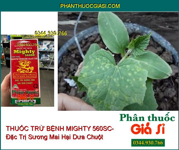 THUỐC TRỪ BỆNH MIGHTY 560SC- Đặc Trị Sương Mai Hại Dưa Chuột