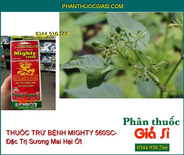 THUỐC TRỪ BỆNH MIGHTY 560SC- Đặc Trị Sương Mai Hại Dưa Chuột