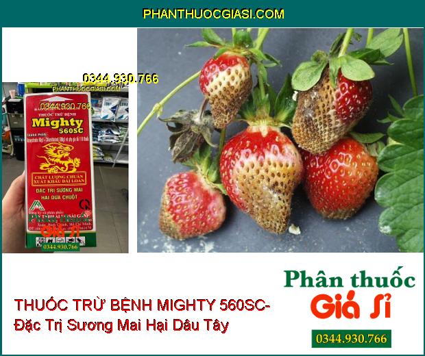 THUỐC TRỪ BỆNH MIGHTY 560SC- Đặc Trị Sương Mai Hại Dưa Chuột