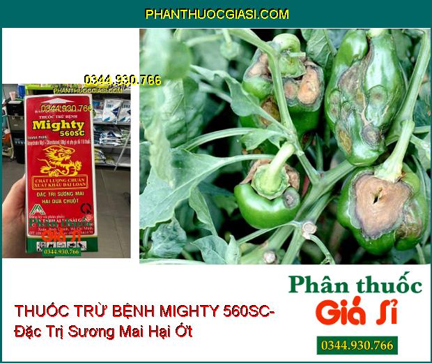 THUỐC TRỪ BỆNH MIGHTY 560SC- Đặc Trị Sương Mai Hại Dưa Chuột