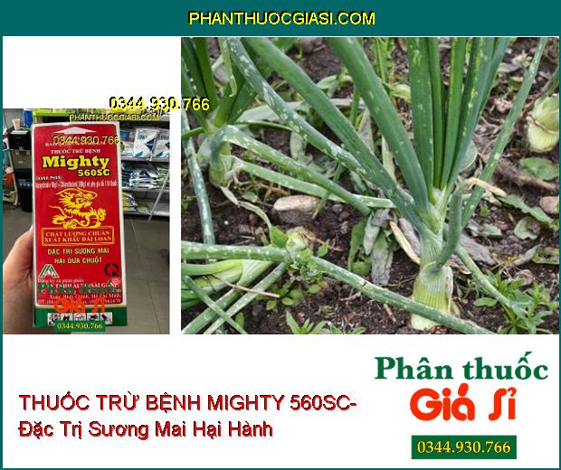 THUỐC TRỪ BỆNH MIGHTY 560SC- Đặc Trị Sương Mai Hại Dưa Chuột