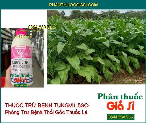 THUỐC TRỪ BỆNH TUNGVIL 5SC- Đặc Trị Bệnh Khô Vằn- Đạo Ôn- Thán Thư- Nấm Hồng